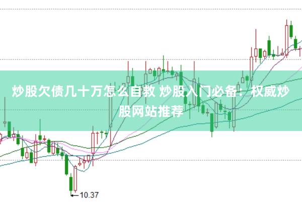 炒股欠债几十万怎么自救 炒股入门必备：权威炒股网站推荐