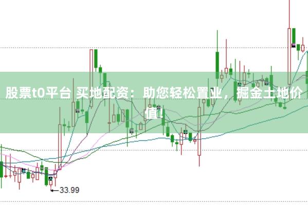 股票t0平台 买地配资：助您轻松置业，掘金土地价值！