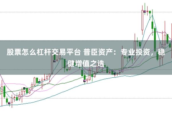股票怎么杠杆交易平台 普臣资产：专业投资，稳健增值之选