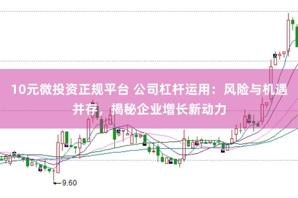 10元微投资正规平台 公司杠杆运用：风险与机遇并存，揭秘企业增长新动力