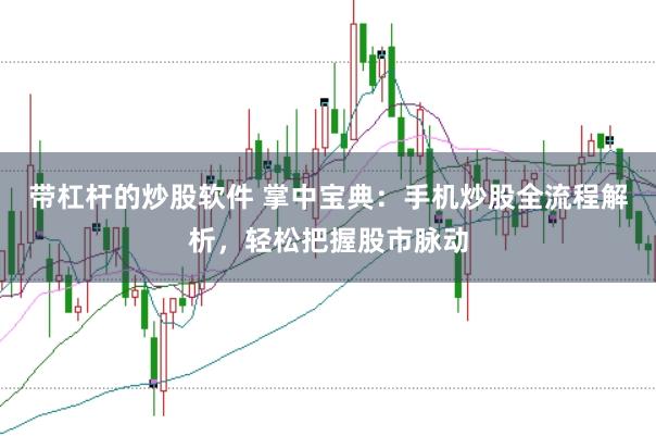 带杠杆的炒股软件 掌中宝典：手机炒股全流程解析，轻松把握股市脉动
