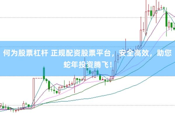 何为股票杠杆 正规配资股票平台，安全高效，助您蛇年投资腾飞！