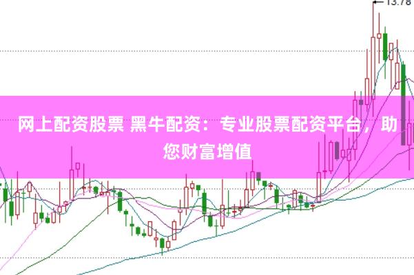 网上配资股票 黑牛配资：专业股票配资平台，助您财富增值