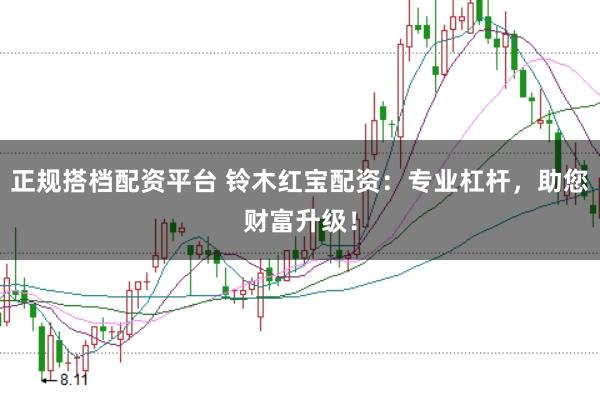 正规搭档配资平台 铃木红宝配资：专业杠杆，助您财富升级！