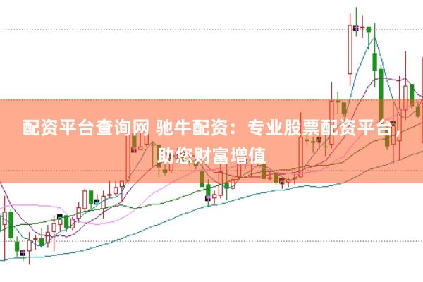 配资平台查询网 驰牛配资：专业股票配资平台，助您财富增值
