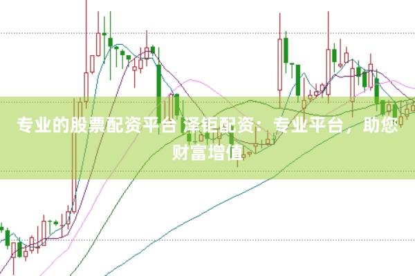 专业的股票配资平台 泽钜配资：专业平台，助您财富增值