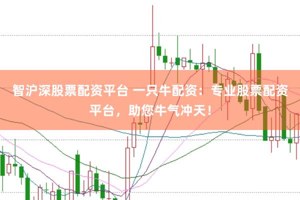 智沪深股票配资平台 一只牛配资：专业股票配资平台，助您牛气冲天！