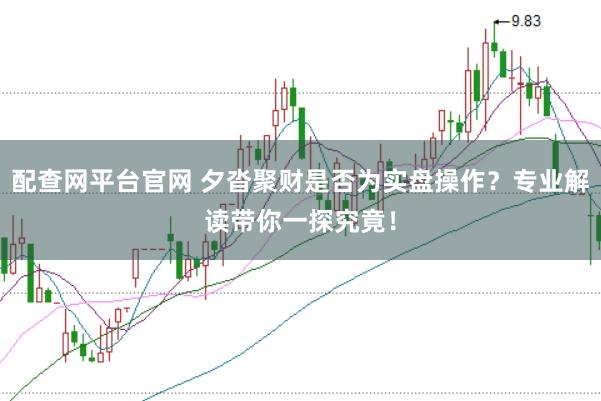 配查网平台官网 夕沓聚财是否为实盘操作？专业解读带你一探究竟！