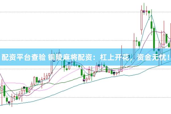 配资平台查验 铜陵麻将配资：杠上开花，资金无忧！