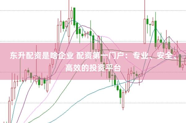 东升配资是啥企业 配资第一门户：专业、安全、高效的投资平台