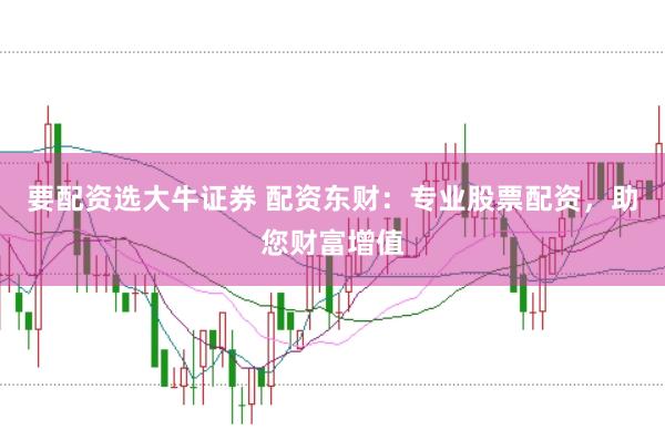 要配资选大牛证券 配资东财：专业股票配资，助您财富增值