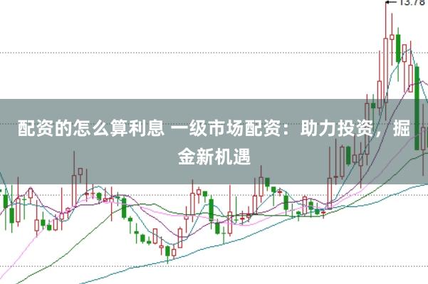 配资的怎么算利息 一级市场配资：助力投资，掘金新机遇