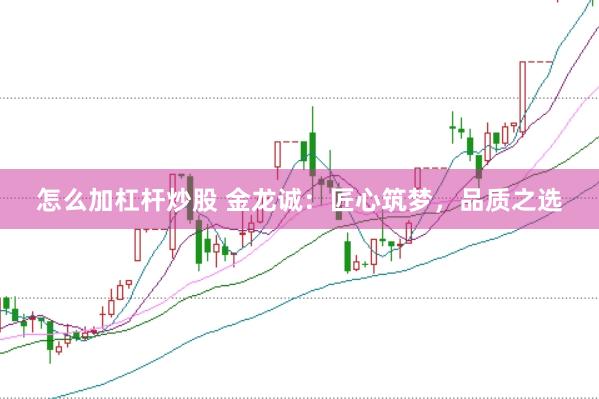 怎么加杠杆炒股 金龙诚：匠心筑梦，品质之选