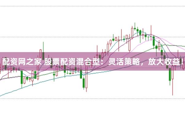 配资网之家 股票配资混合型：灵活策略，放大收益！