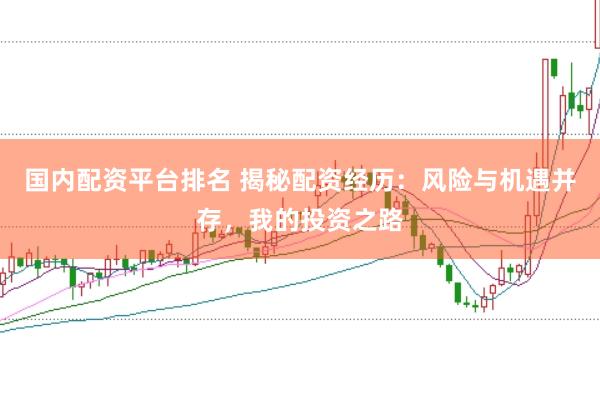 国内配资平台排名 揭秘配资经历：风险与机遇并存，我的投资之路