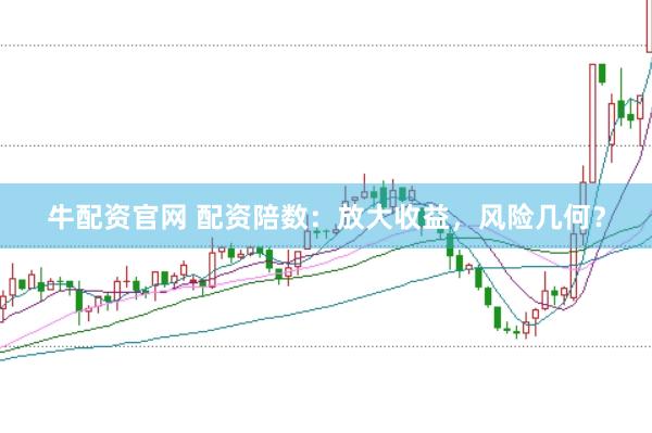 牛配资官网 配资陪数：放大收益，风险几何？