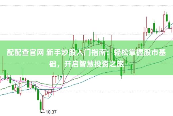 配配查官网 新手炒股入门指南：轻松掌握股市基础，开启智慧投资之旅