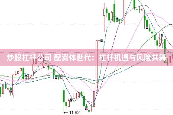 炒股杠杆公司 配资体世代：杠杆机遇与风险共舞