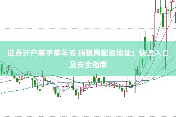 证券开户新手薅羊毛 瑞银网配资地址:快速入口及安全指南
