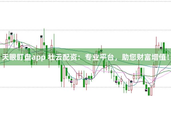 天眼盯盘app 壮云配资:专业平台,助您财富增值!