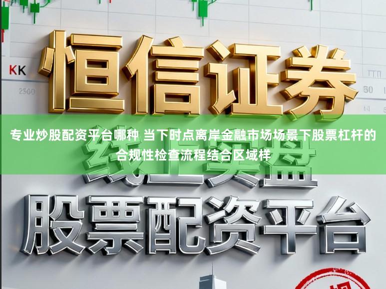 专业炒股配资平台哪种 当下时点离岸金融市场场景下股票杠杆的合规性检查流程结合区域样