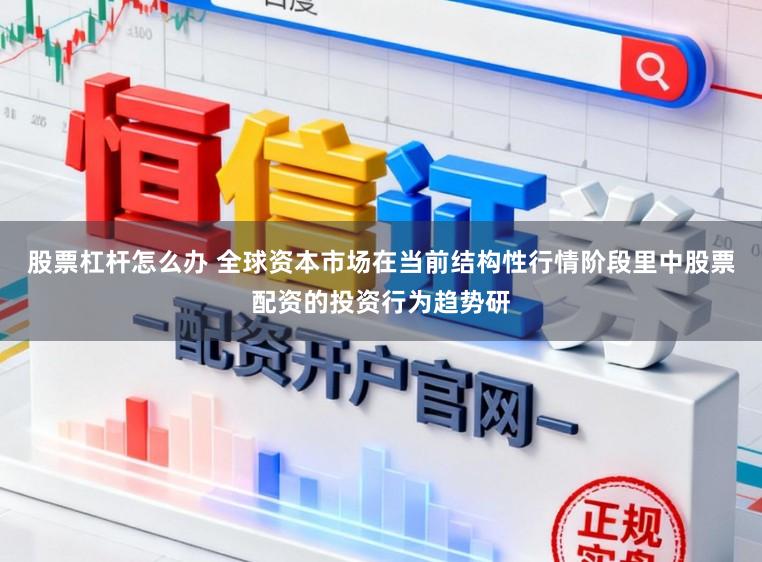 股票杠杆怎么办 全球资本市场在当前结构性行情阶段里中股票配资的投资行为趋势研