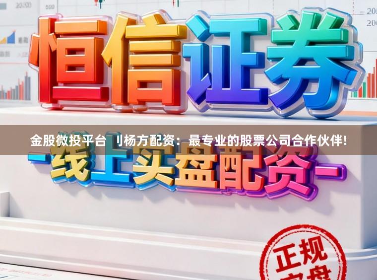 金股微投平台 刂杨方配资：最专业的股票公司合作伙伴!